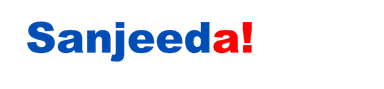 Website Logo