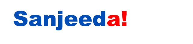 Website Logo
